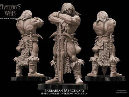 Barbarian Mercenary 1 1