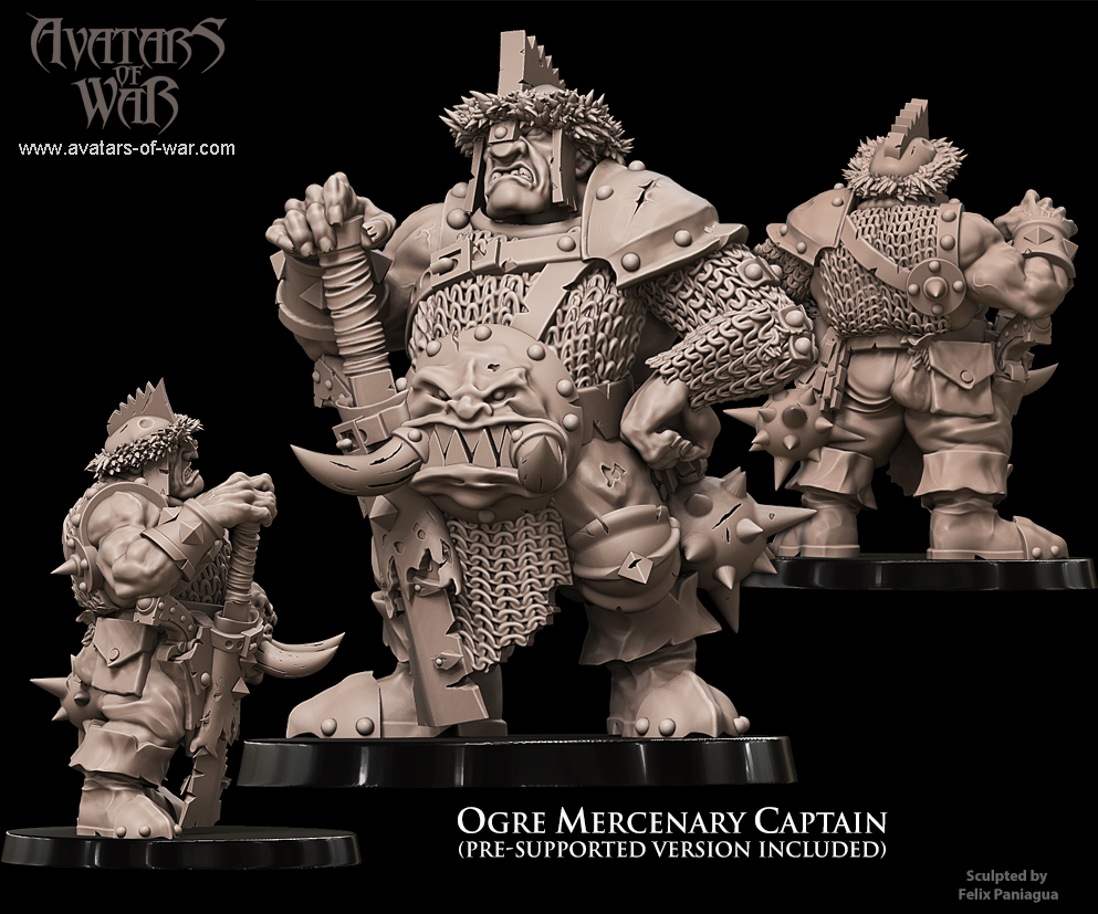 Ogre Mercenary Captain P2